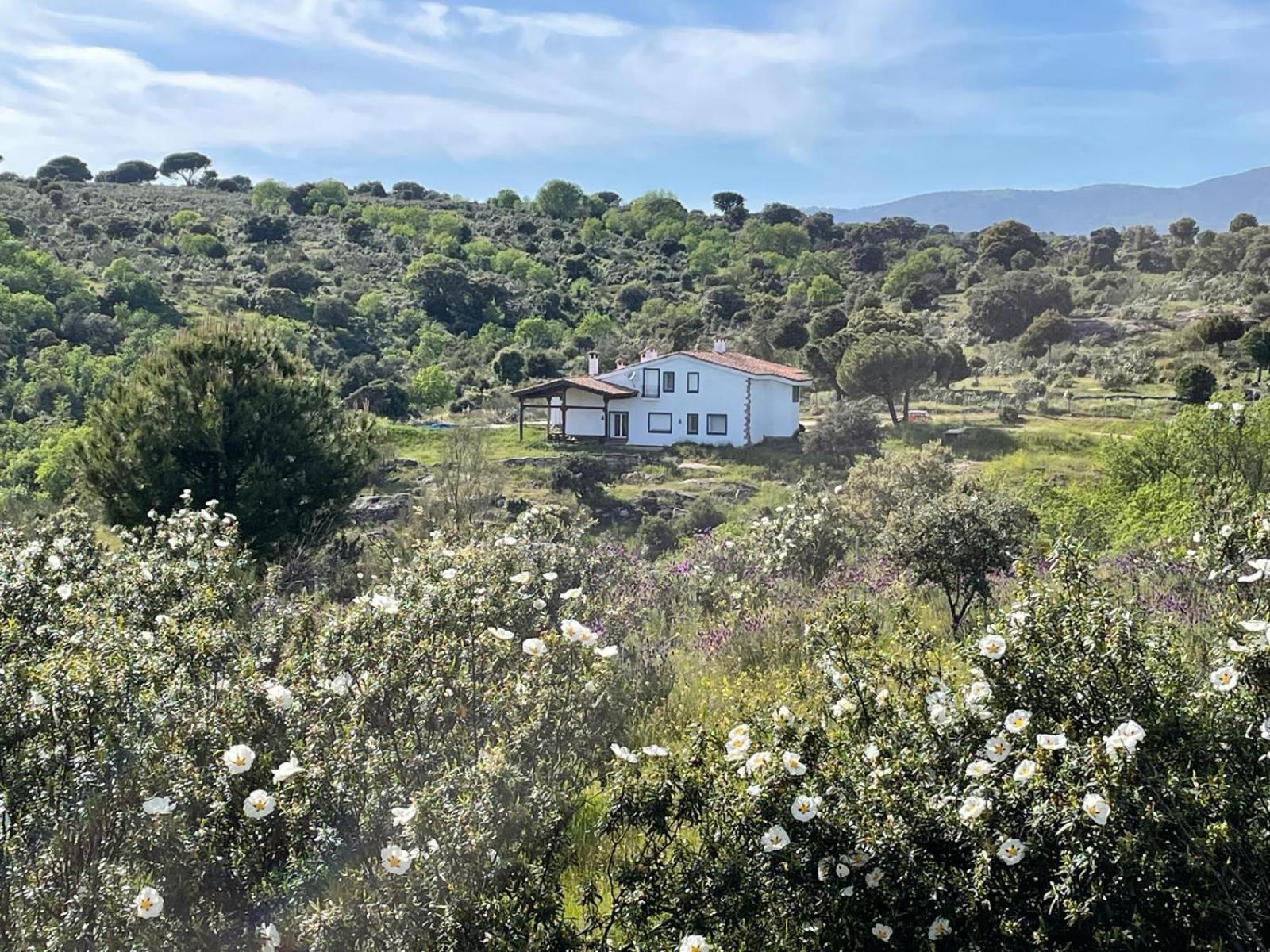 Finca Altair Madrid Buitenkant foto
